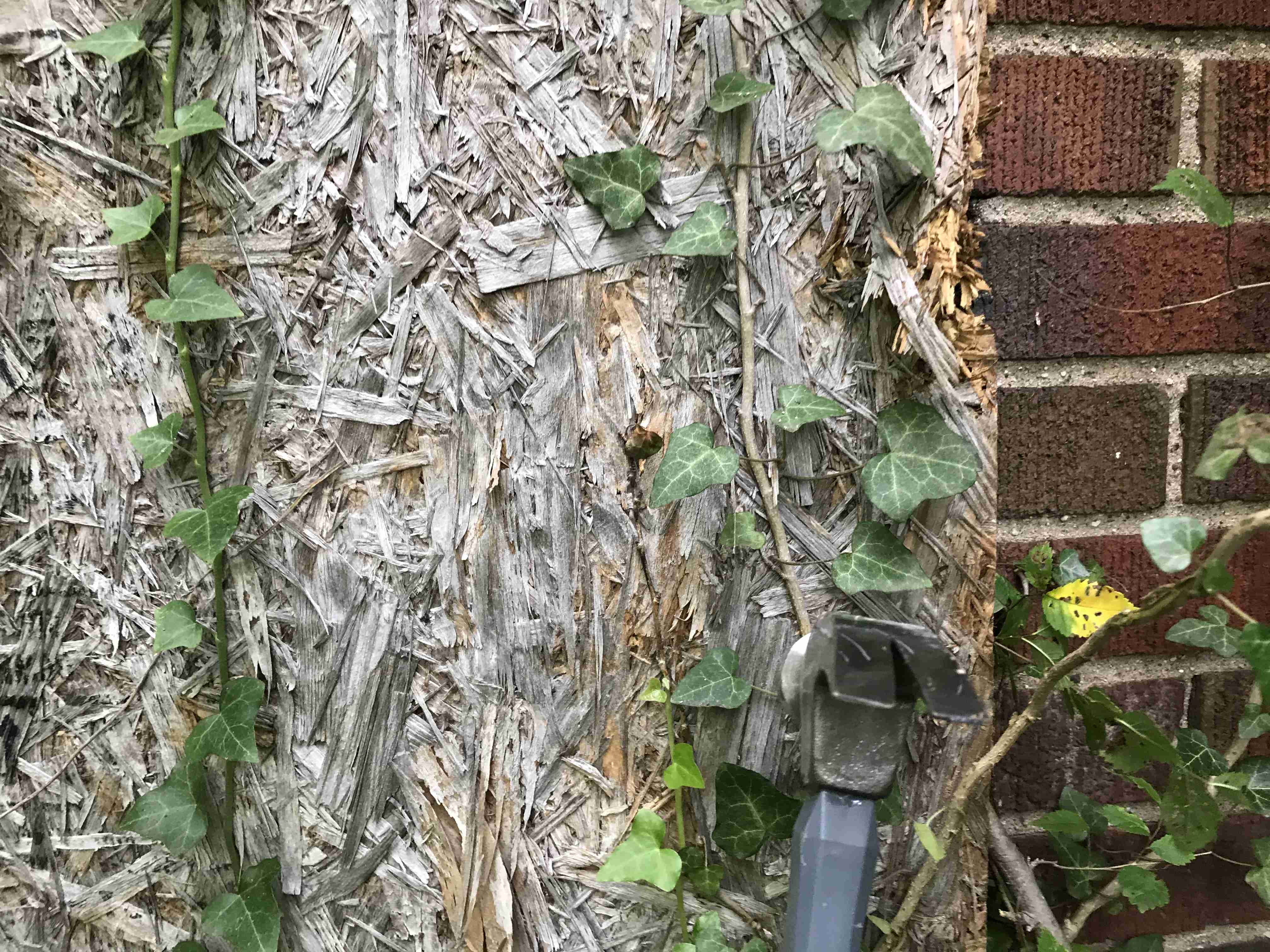 Photo Sep 10, 2 52 26 PM.jpg